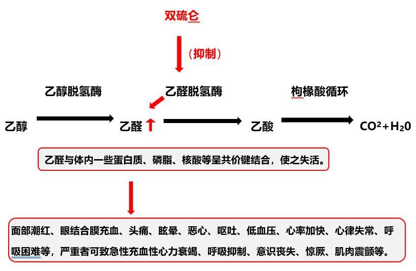 头孢|【健康科普】网传“头孢配小酒，唢呐吹一宿” 真的吗？