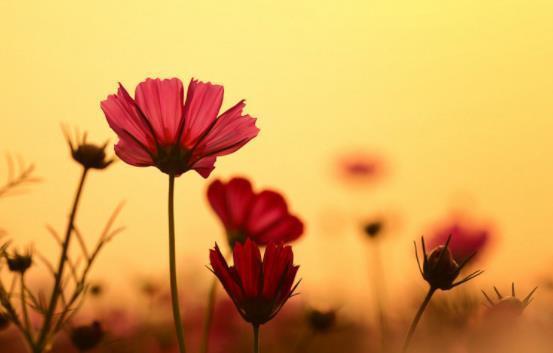 福报|一个人,越自律,福报越多