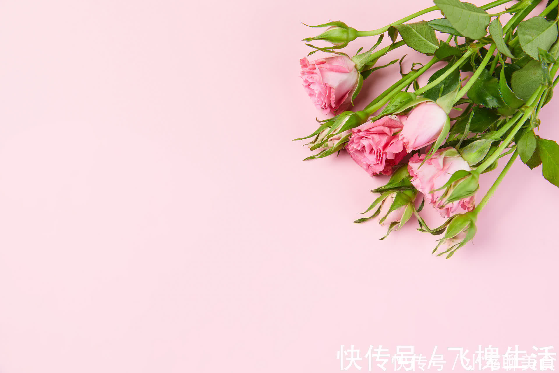 甜蜜蜜|夫妻生活中，“折腾”是一种聪明的经营方式