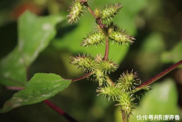 老年|秋意渐浓秋色起，斑斓色彩染磴山!美图来袭~