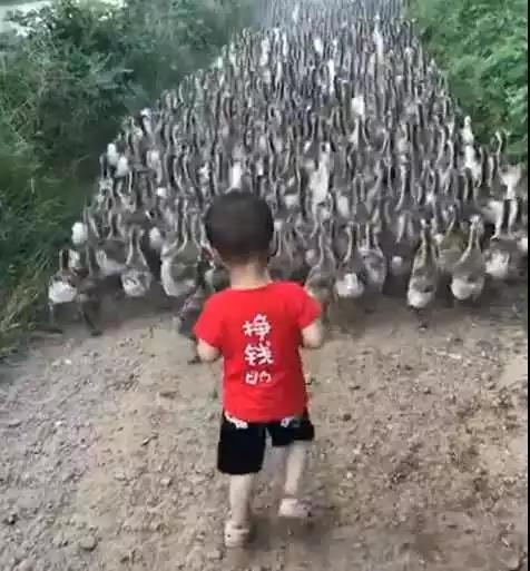 壮壮|爸妈都要出差,把孩子给乡下奶奶带,奶奶发过来的照片,好可爱!