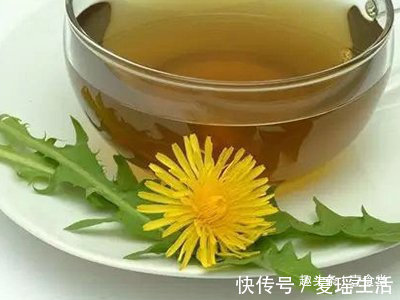 生活环境|坚持用蒲公英泡水喝,1个月之后身体会怎么样