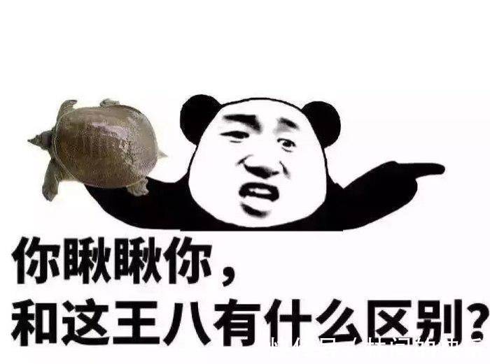 |搞笑段子:那你是准备好啃老了