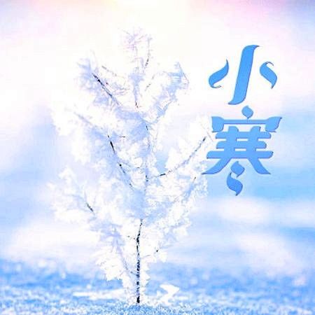 中薪|小寒胜大寒，饮食要跟上，记得吃“3白3黑3苦”，顺利过寒冬