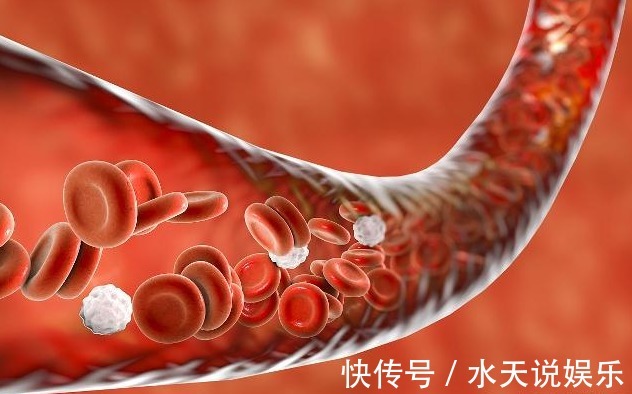 营养物质|血液粘稠的人,少吃“2白”,多吃“2黄”,或许有助清理血管!