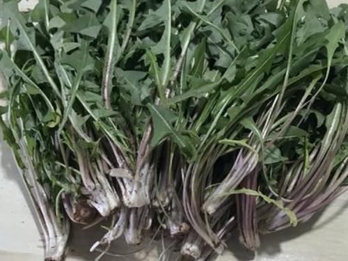 天然的“強(qiáng)肝劑”找到了,堅(jiān)持每天吃,養(yǎng)肝排毒,肝臟越來越好