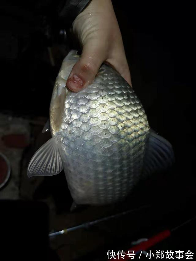 浅谈寒冬鲫鱼习性,摸准命脉渔获更多,确实不用太好技术