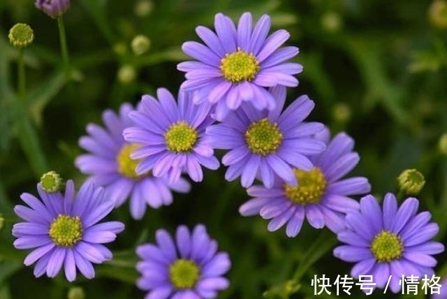 周易·系辞下|易经:一个家庭最大的悲哀,是把这四个秘密,说给别人听