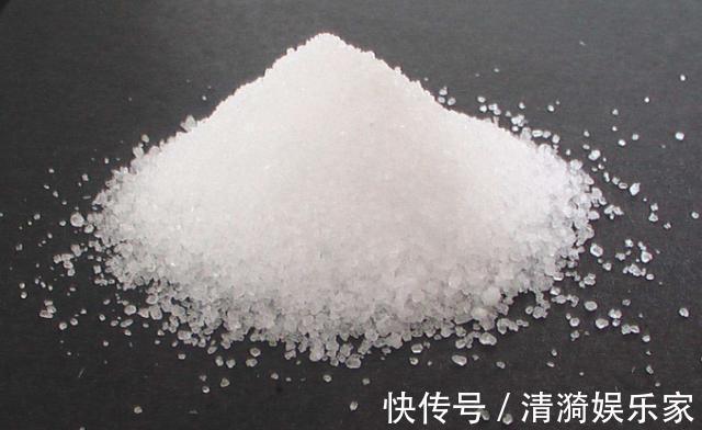 富贵竹叶片发黄往盆里撒“1种粉末”,7天后叶片油绿,根系壮