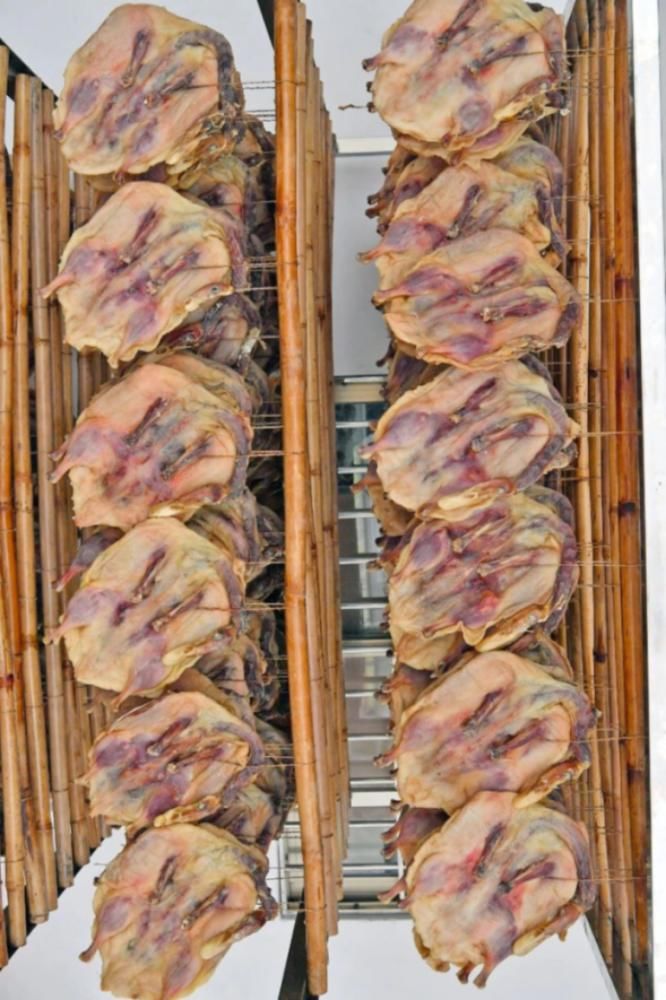  场面|阳江的“名场面”来了！