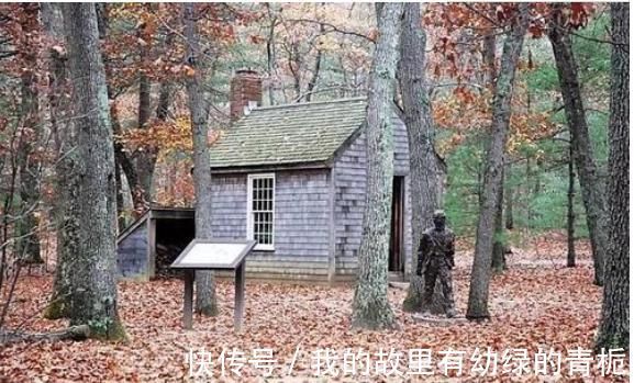 爱默生|看完《瓦尔登湖》这15句,明白为啥是清华校长力荐的“必读经典”