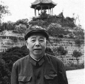 中将|第二兵团四巨头,分别是大将,中将与少将,为何就是政委没有军衔