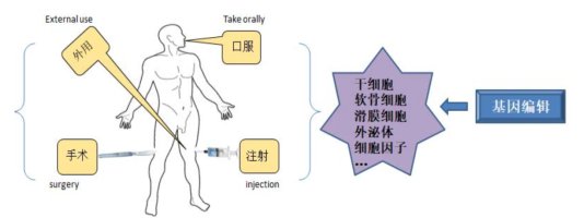 骨关节炎|牛膝有效成分（ABE）干预BMSCs路径治疗骨关节炎获得重大