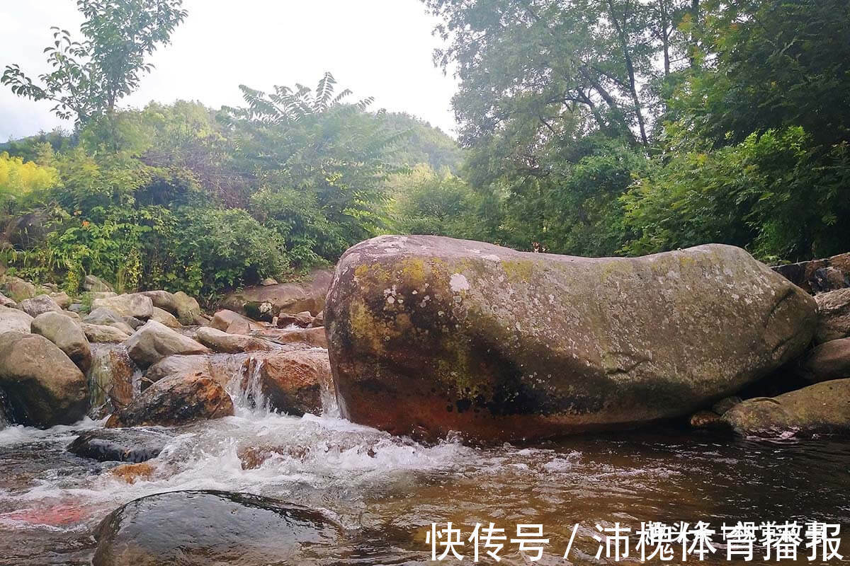 杂草|山村楼房装修豪华,门前堆满柴火,2个儿子3年没回家