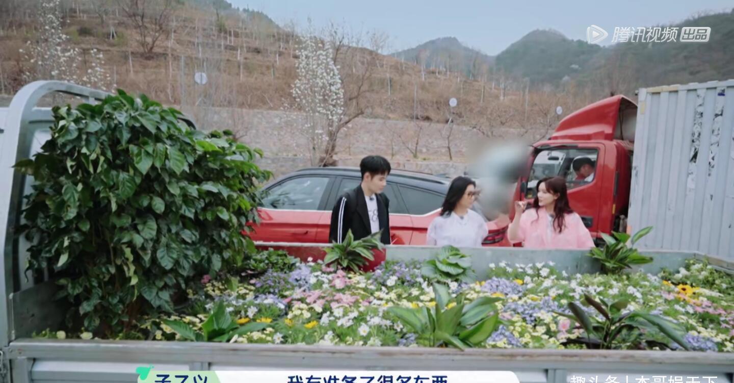 礼物 《桃花坞》汪苏泷的礼物太尴尬,舒淇的礼物成焦点,太壕了