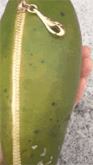 |搞笑GIF:听说怀孕了不能翘二郎腿,不然生出的孩子是这样的