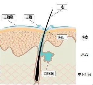 滋润型|护肤品选不对，用多少都白费！3步教你正确选择护肤品！