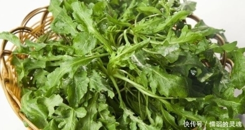 长寿菜|这些野菜可不能随便吃,特别是第二种!不了解不要乱吃