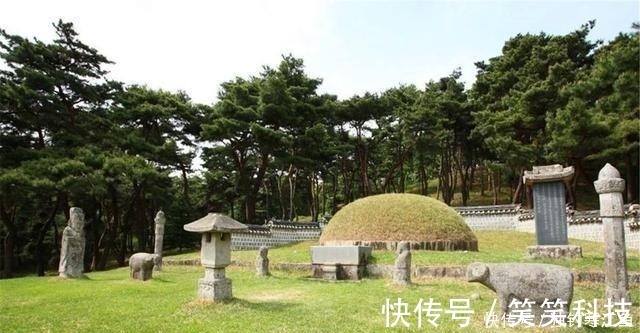 诸葛连弩$宋代如果看到这两种树扎堆,说明附近可能有古墓,但盗墓贼不会盗!