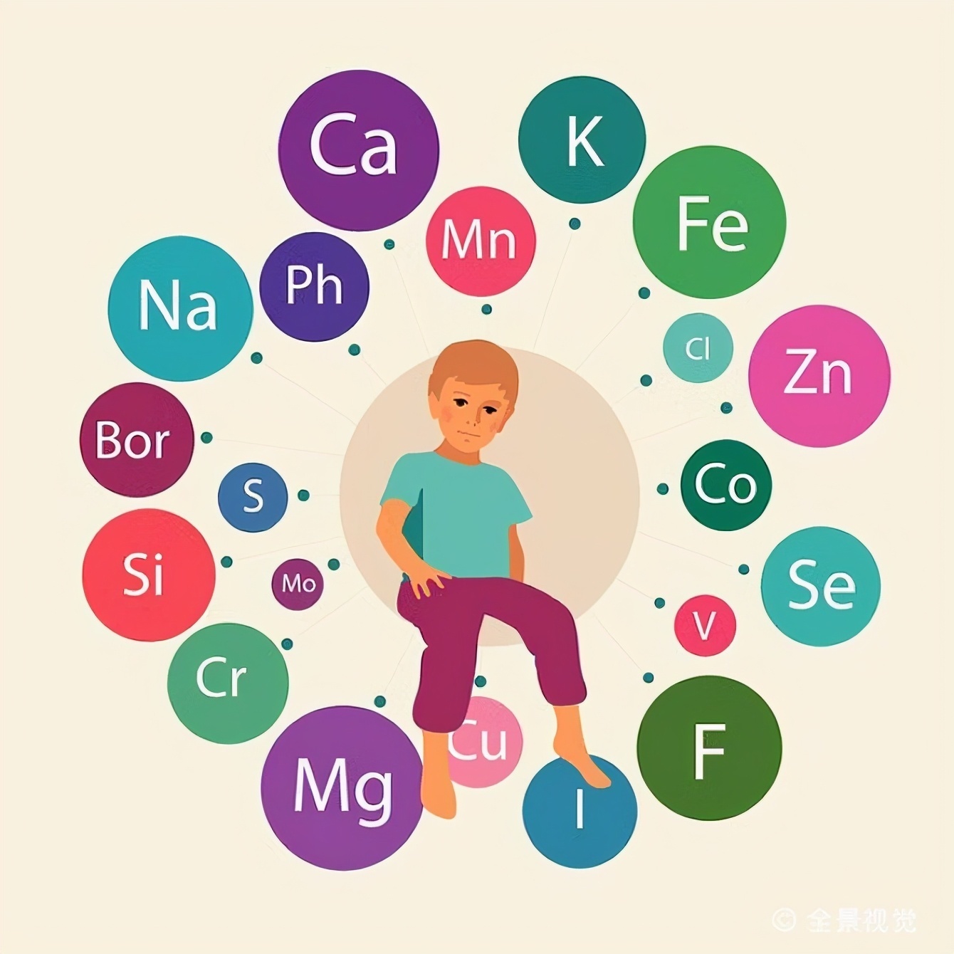 人体必备的七大营养到底有什么用?