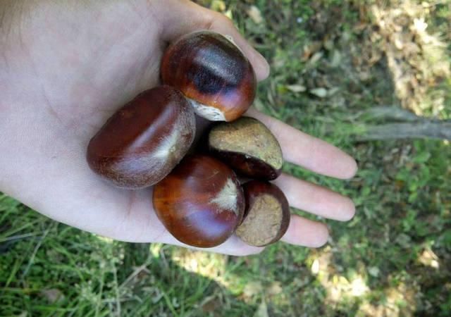 打工仔回到家乡,再钓一次故乡河里的小鱼