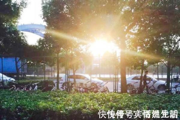 中老年人|每天步行1万步,有什么好处?早上步行好还是晚上步行好?