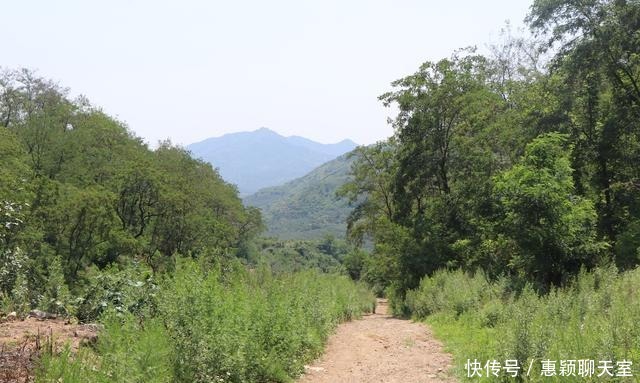 春暖花开|组图 烟台蓬莱村里集镇的故事, 与艾崮山相依的好地方