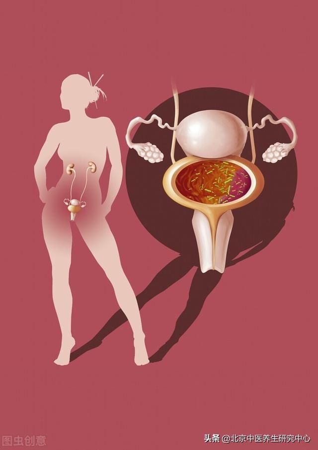 括约肌|膀胱及足太阳膀胱经