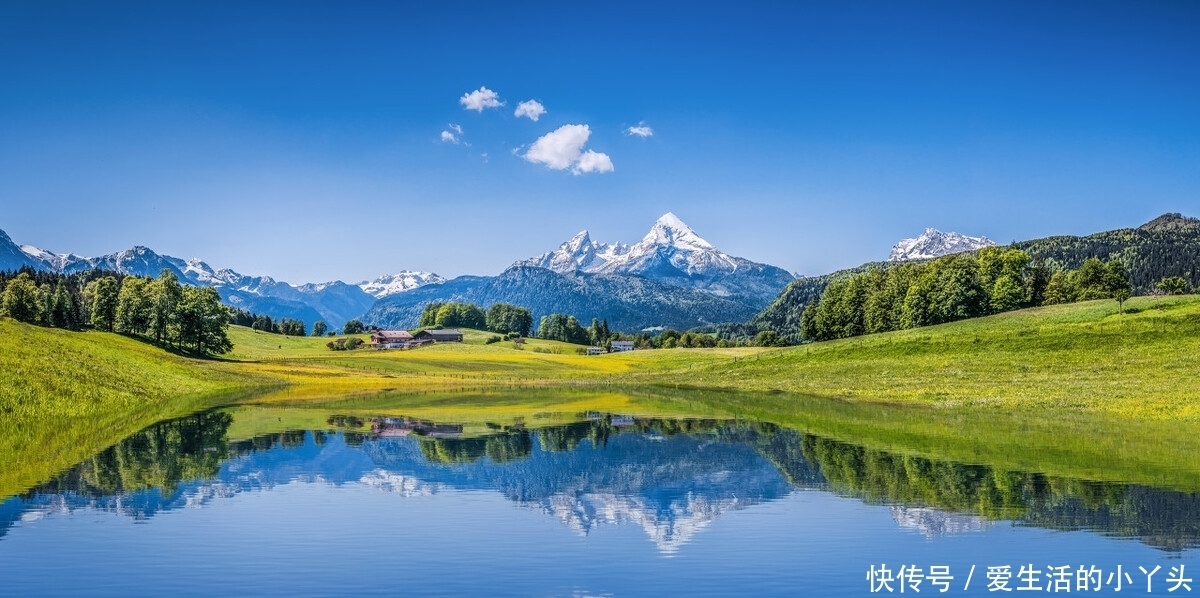 夏季|夏季的色彩，不仅仅是一抹绿，诗词里的夏天五彩斑斓