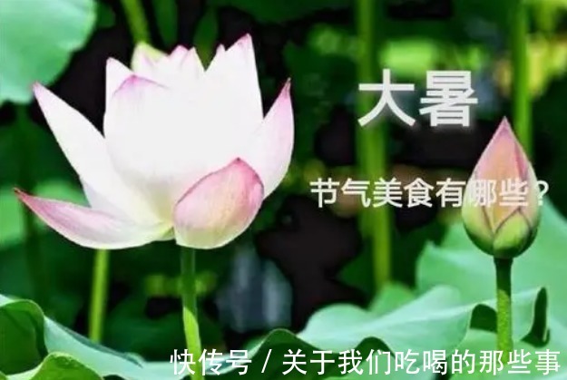 解暑|大暑到,无论贫富多吃4样食物,清热解暑,增强抵抗力,舒服度夏