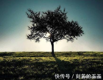 皂角林#杨万里冬日抒怀,吟诵了一首七绝,含蓄蕴藉,却打动人心