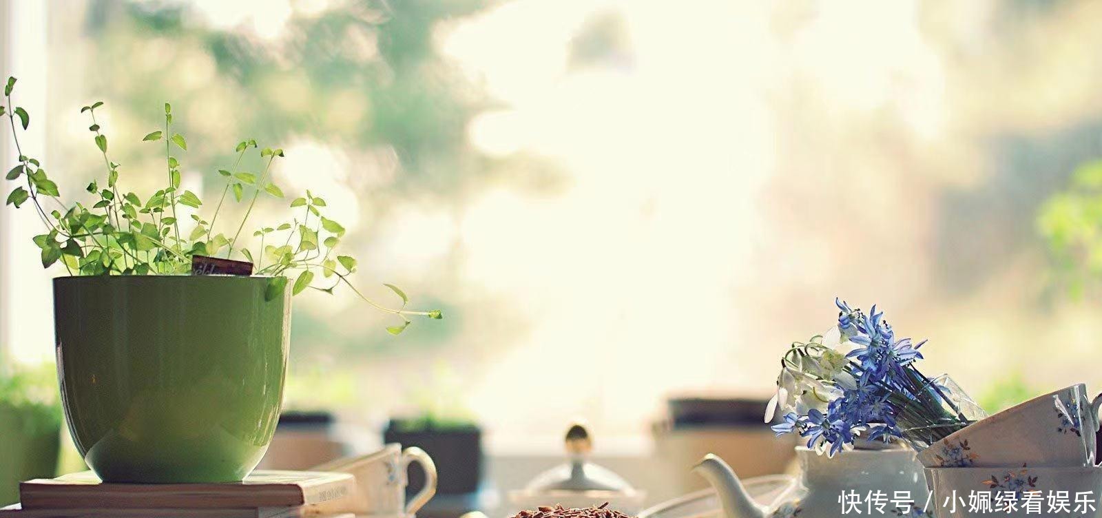 止损 理智的人,一定都明白“及时止损”