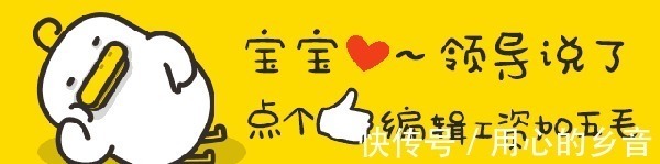 武魂|斗罗大陆最强武魂,不是昊天锤也不是七杀剑而是一脉单传的它