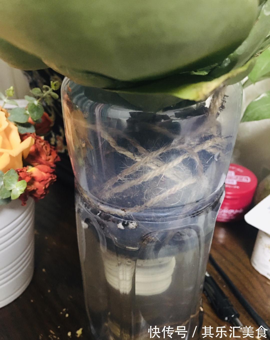 养花技巧：养花别用这种盆，养啥死啥，1棵都不剩