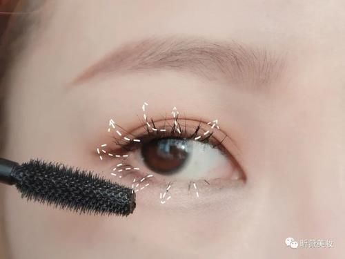 跟澳洲野玫瑰Rose，学画超A内双眼妆