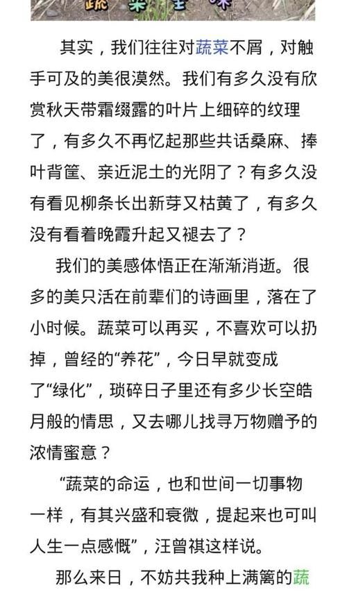 一等奖作文《蔬菜》，不写亲情故土，这构思，很特别