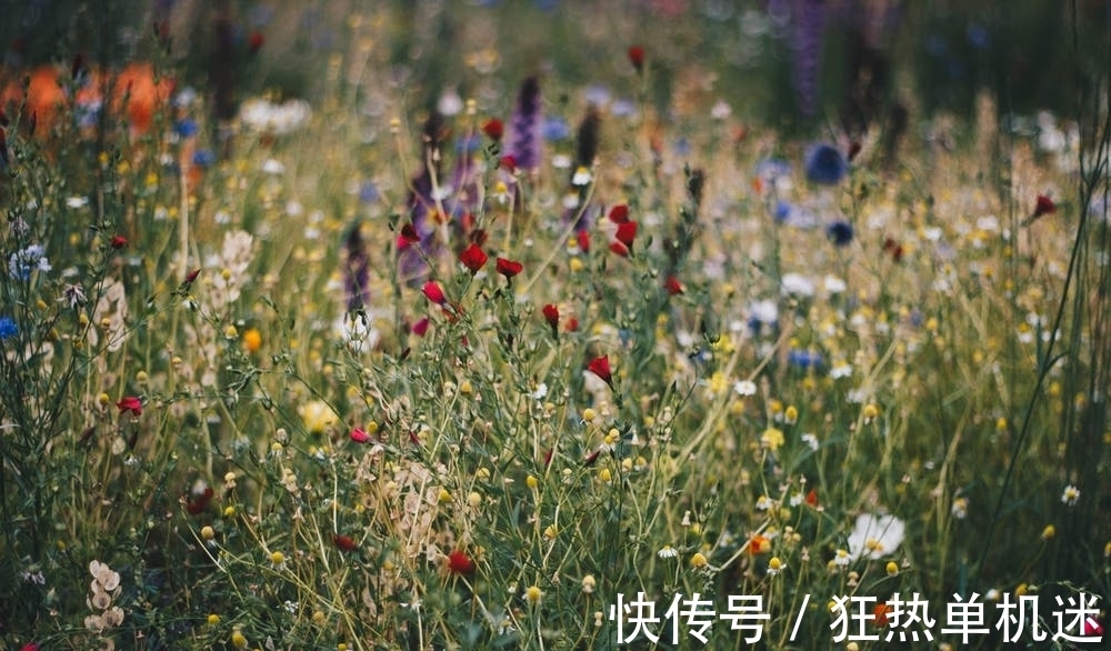 韦应物!纨绔子弟韦应物晚年写下一首诗,体现了为官的良心,令人感佩