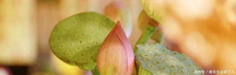 忌讳|佛说:做人最忌讳的,是不从自己身上找原因