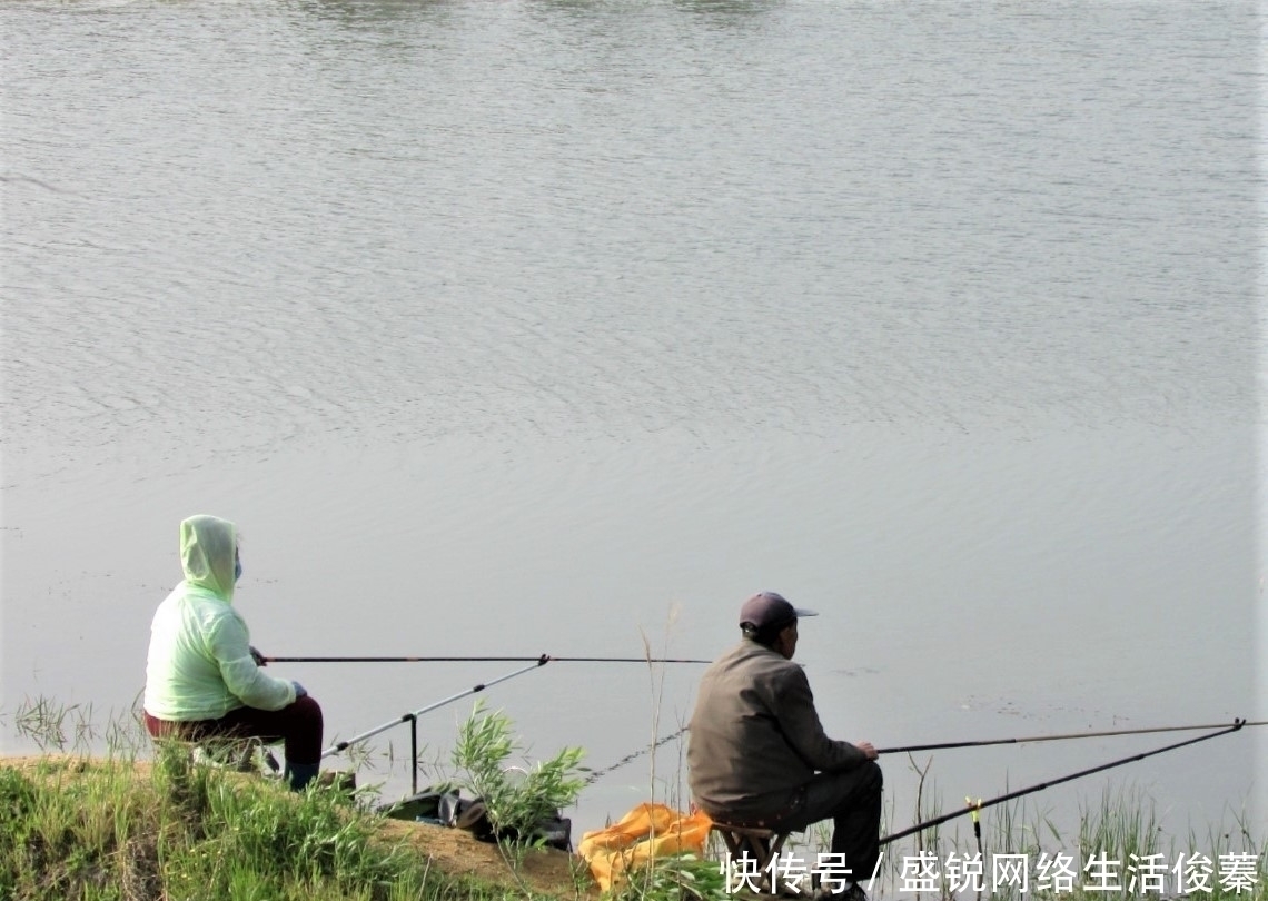 馒头|用馒头也可钓鱼?什么情况下用红虫、蚯蚓、玉米作钓,效果更好?