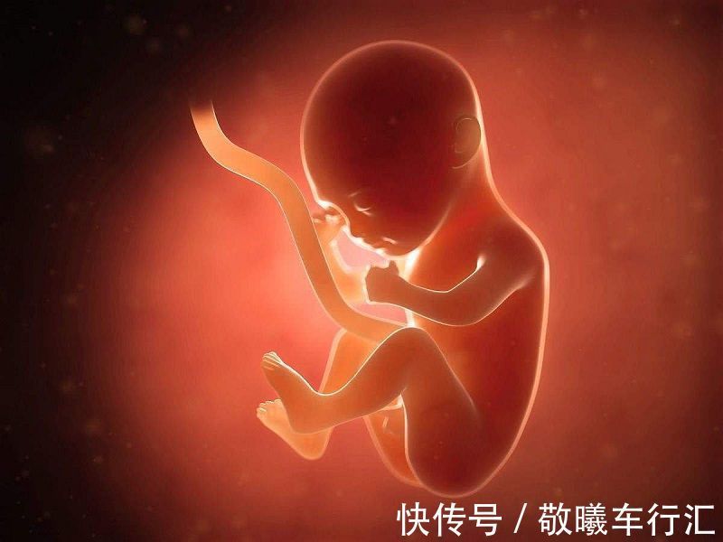 儿科学杂志|加拿大儿童研究医院:孕吐反应越大孩子智商越高,医生说了大实话