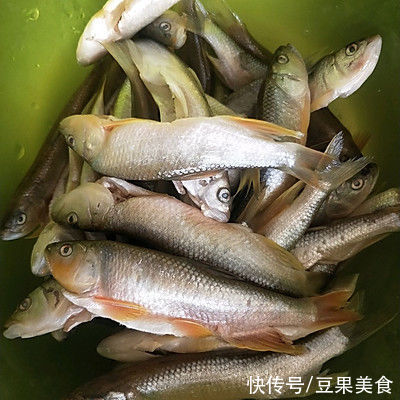 东北大酱炖小杂鱼