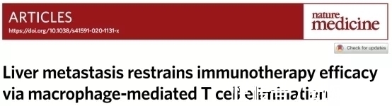 小鼠|让肺癌治疗失效的元凶竟然是它!逆转方法如此简单—抗癌管家