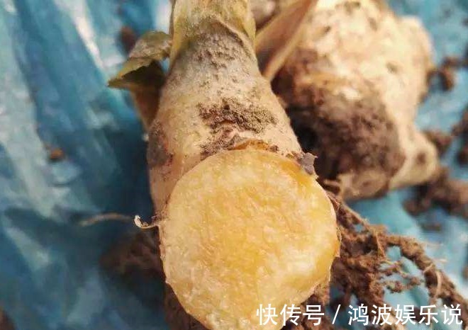 番茄|世界上最毒的四种蔬菜,个个伤肝,你却经常端上桌!