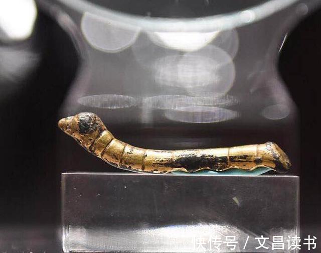 宝物@马未都:主席提到的这件宝物全国只有2件,其中一件在我这!