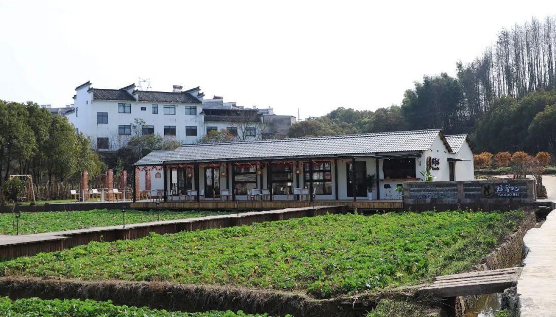 瑶草bar！带你打卡屯溪区乡村旅游“网红点”！