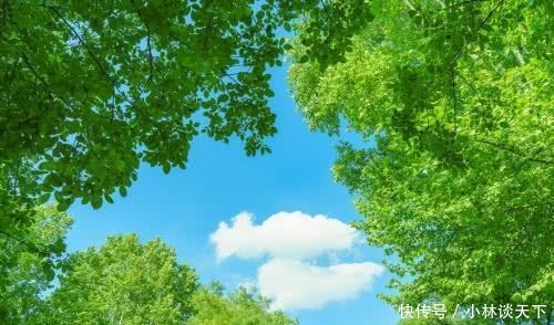 人觉着|懂得欣赏是一种美