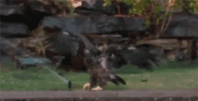 |搞笑GIF：妹纸的脸简直太魔性了，看的止不住笑