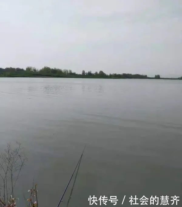 钓位|本味三兄弟,助我擒板鲫!