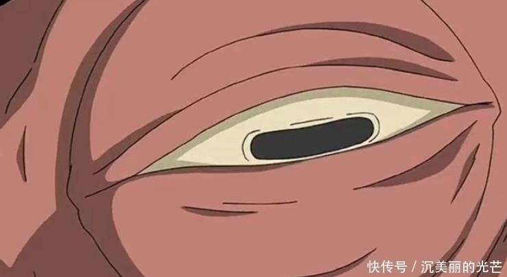 九尾|蛤蟆仙人给鸣人占卜，为什么会出现一只章鱼？只有九尾明白
