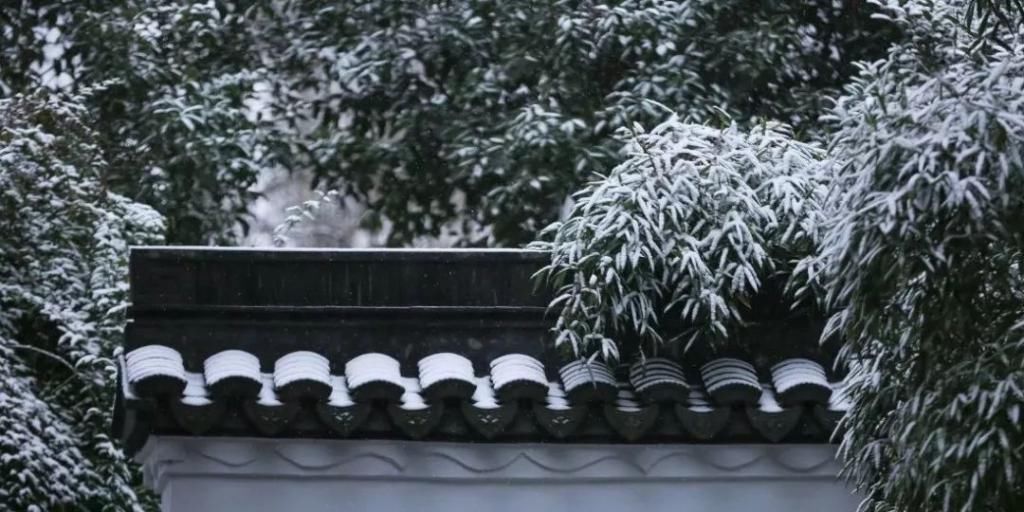 飘进|大雪飘进唐诗里